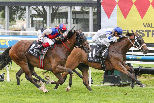 Kadavar extends perfect 2400m record