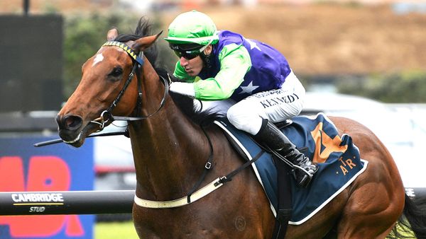 Checkmate continues Wexford record in three-year-old feature