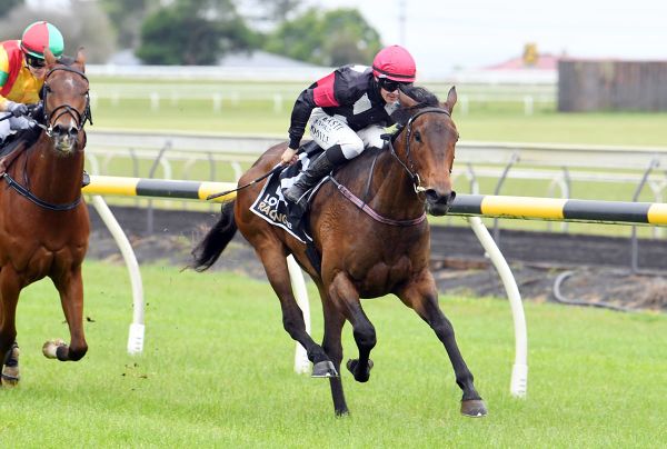 Leica Lucy set for Oaks path