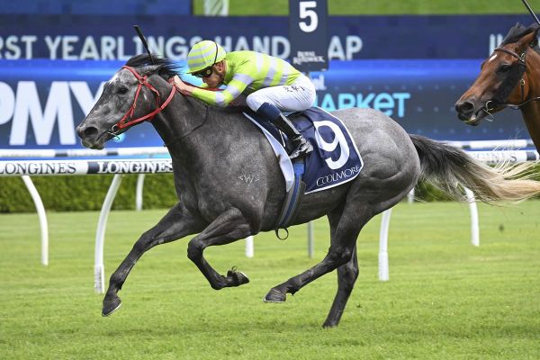 Pride to hit The Gong with in-form trio