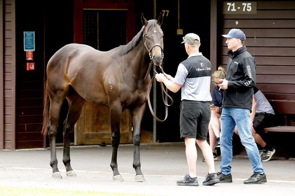 Ready to Run Sale going from strength to strength