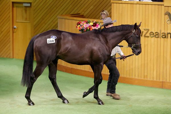 Ormsby pulls off stunning pinhooking result