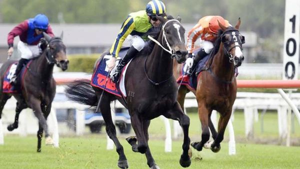 Quality Filly Boosts Trainer’s Guineas Prospects