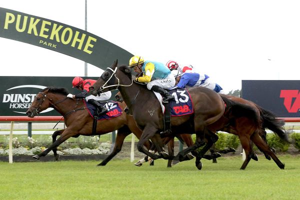 Mi Bella out to continue stable success at Te Aroha