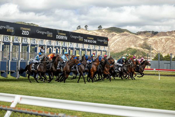 Sprint series adding more sizzle to summer racing