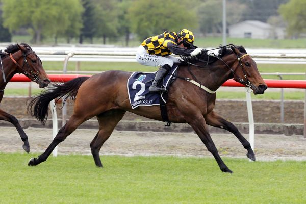 Noble tasked with continuing Cambridge Stud’s hot spring