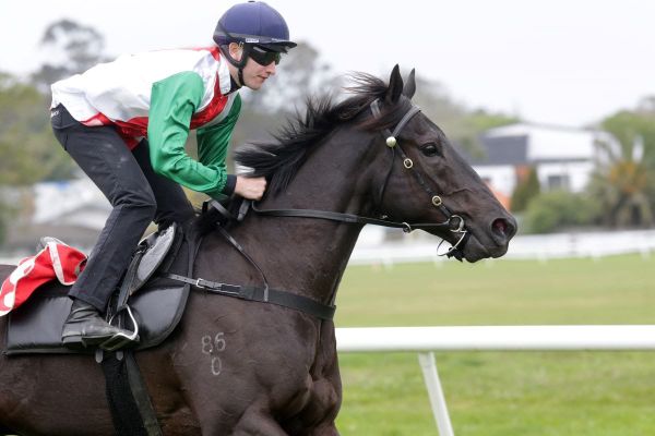 Mad Max out to fulfil early promise