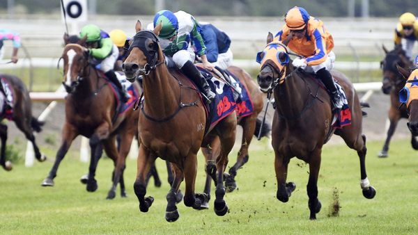 Nereus successful in drama filled Counties Cup