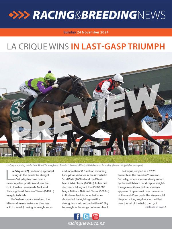 NZ Racing and Breeding News – 24 November 2024