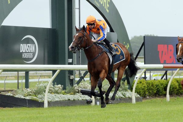 Dominant debut by million-dollar baby in the Listed Challenge Stakes