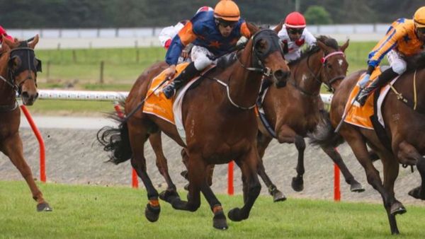 Richard stomps towards Cup Week