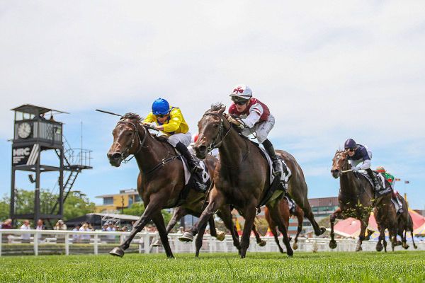 Progressive Ruakaka Raider scores at Caulfield