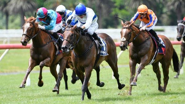 $1million NZB Kiwi Bonus Up for Grabs