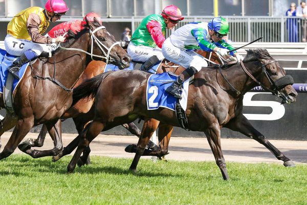 Group One-winning mare retired
