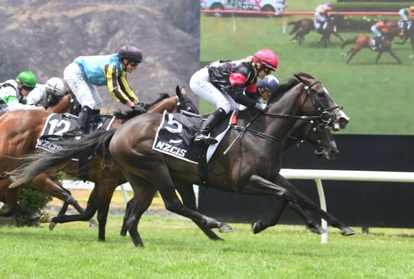 Canterbury Breeders’ hopes halved for Patterson