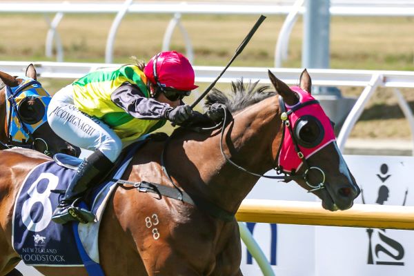 The Radiant One to uphold carnival tradition