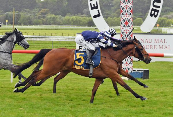 Ellerslie test is in the offing for Otaki gelding