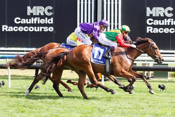 Torranzino plunders Country Cups Final