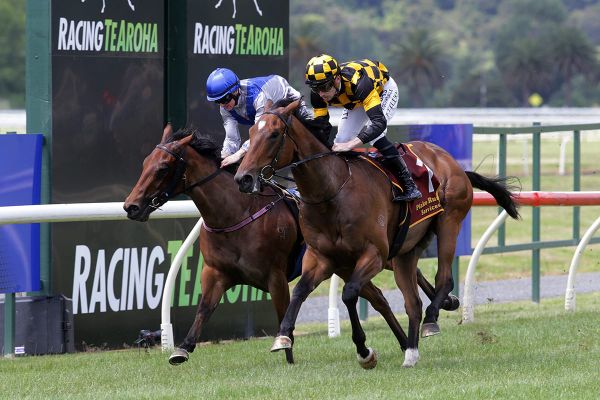 Stud Gallopers Shine for Ritchie and Murray