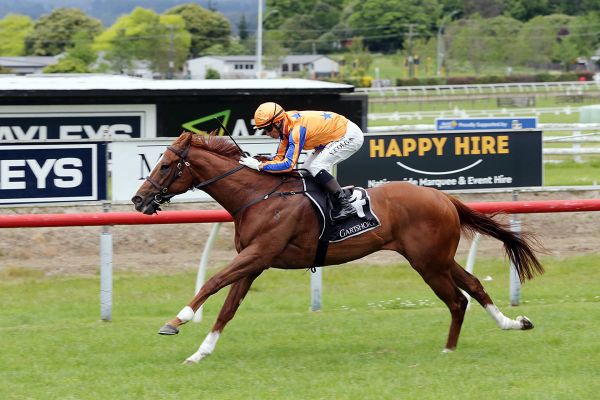 Wild Night prepares for Aussie debut