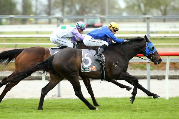 Ellerslie aims for Wolfgang
