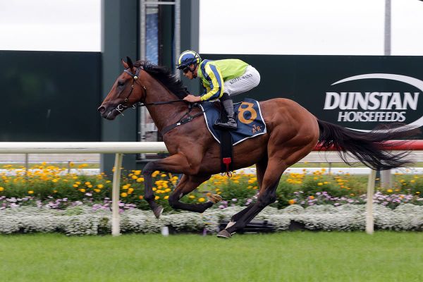 Smart 3YO trials well ahead of return