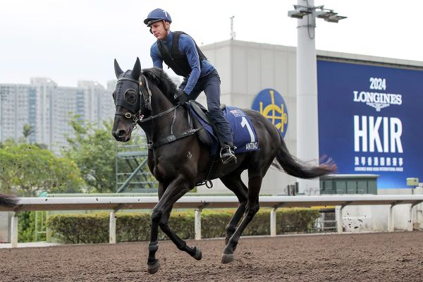 Audio: Racing Pulse with Michael Felgate