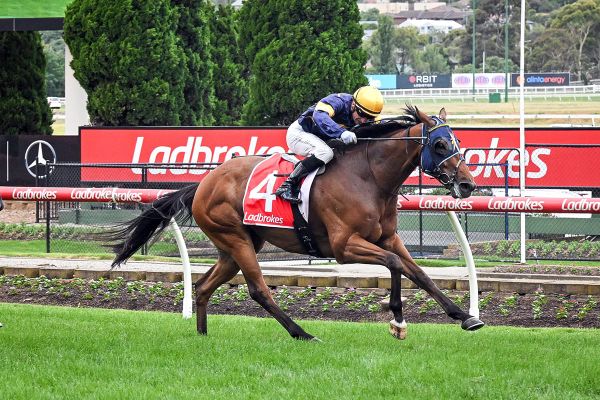 Banker’s Choice chasing two straight