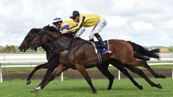 Shinn Set for Boxing Day Rides at Ellerslie