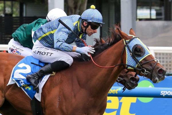 Centennial Park flags Kiwi credentials