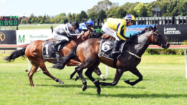 Wexford Stable Continues Winning Streak with Cheaha