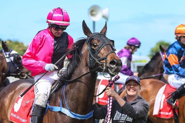 Hodgson hoping Christmas comes early with in-form galloper
