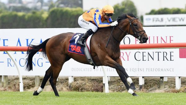 Star filly Damask Rose blooming for Milan Park