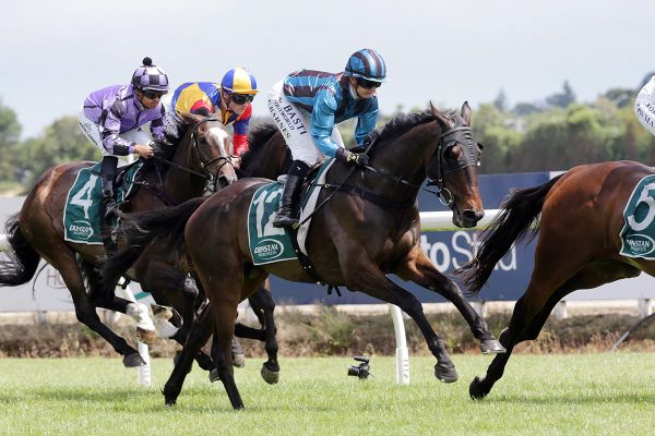 Jericho Cup jackpot for $1000 gavelhouse.com purchase