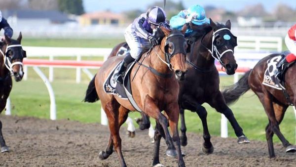 Mathews in high spirits ahead of Trentham