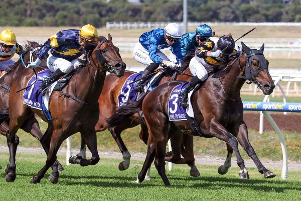 No Shock in Supernova