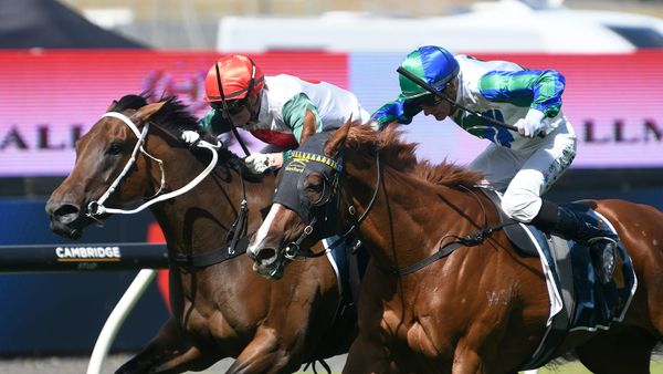 Hitabell provides Marsh with a Boxing Day double