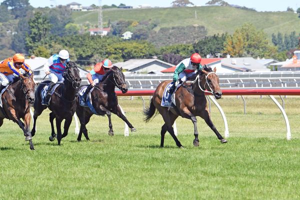 Promising filly a stakes-winning hit for Devcich