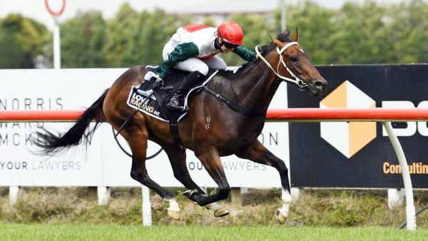 Marsh upbeat despite Te Rapa draws