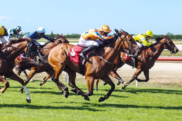 Insatiable Extends Winning Streak at Timaru