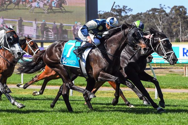 Maher keen on Wellington Cup mission with Interpretation