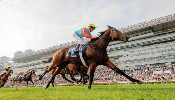 Kiwi-bred sprinter sitting on top of the world