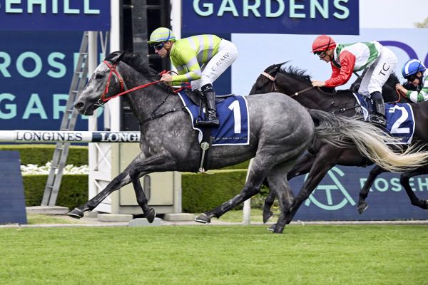 Lekvarte is set to relish Randwick mile return