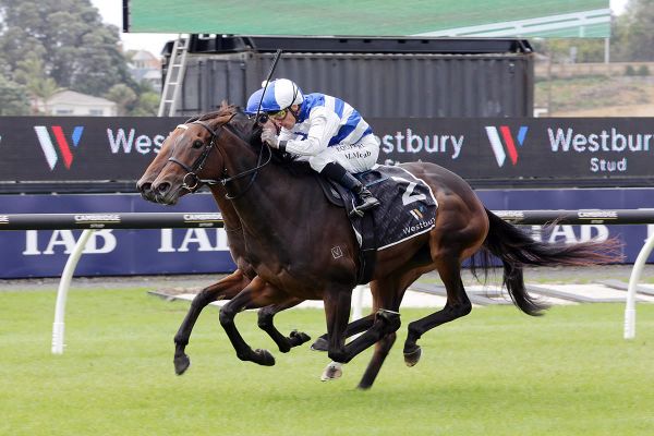 Pearl puts perfect Trentham record on the line in Group One quest