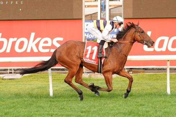 McEvoy keen on OTI filly
