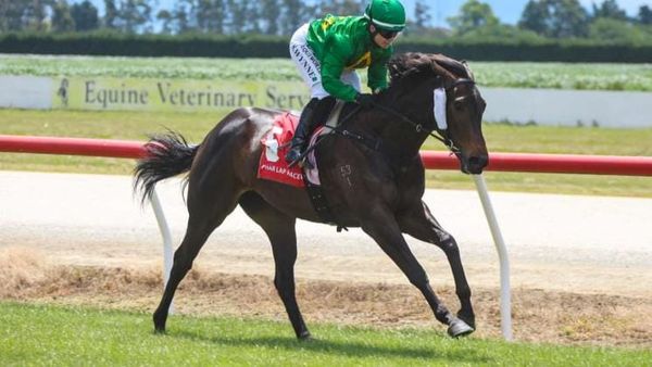 Wynne Aims to Shine at Wingatui