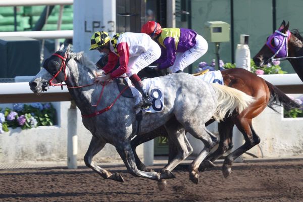 Reliable Profit bids to enhance dirt course standing