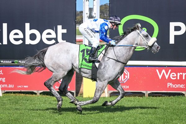 Riot And Rose after another regional feature