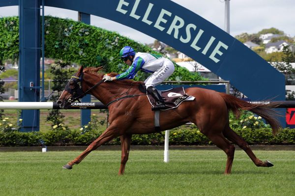 Sethito delivers on all levels for Chittick family