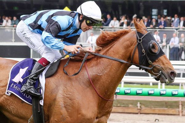 Smokin' Romans Sets Sights on Pakenham Cup Victory